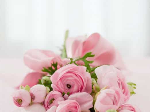 A bouquet of fresh pink flowers