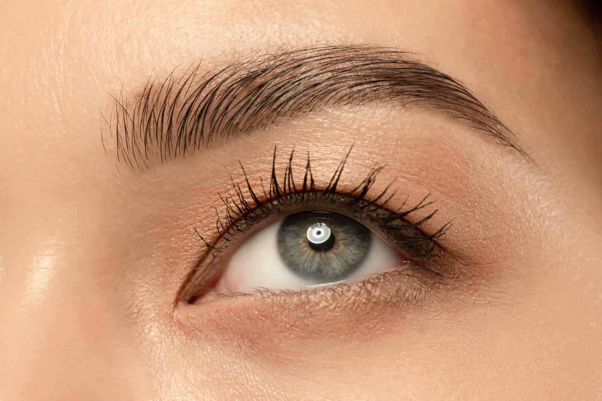 female eyebrows in focus