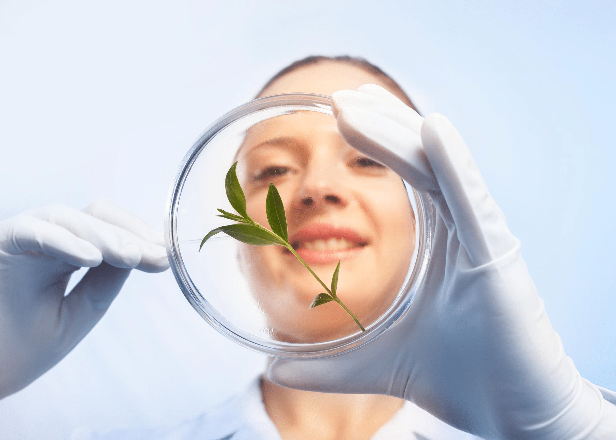 Sesderma Ingredients: A Deep Dive into Skincare Science
