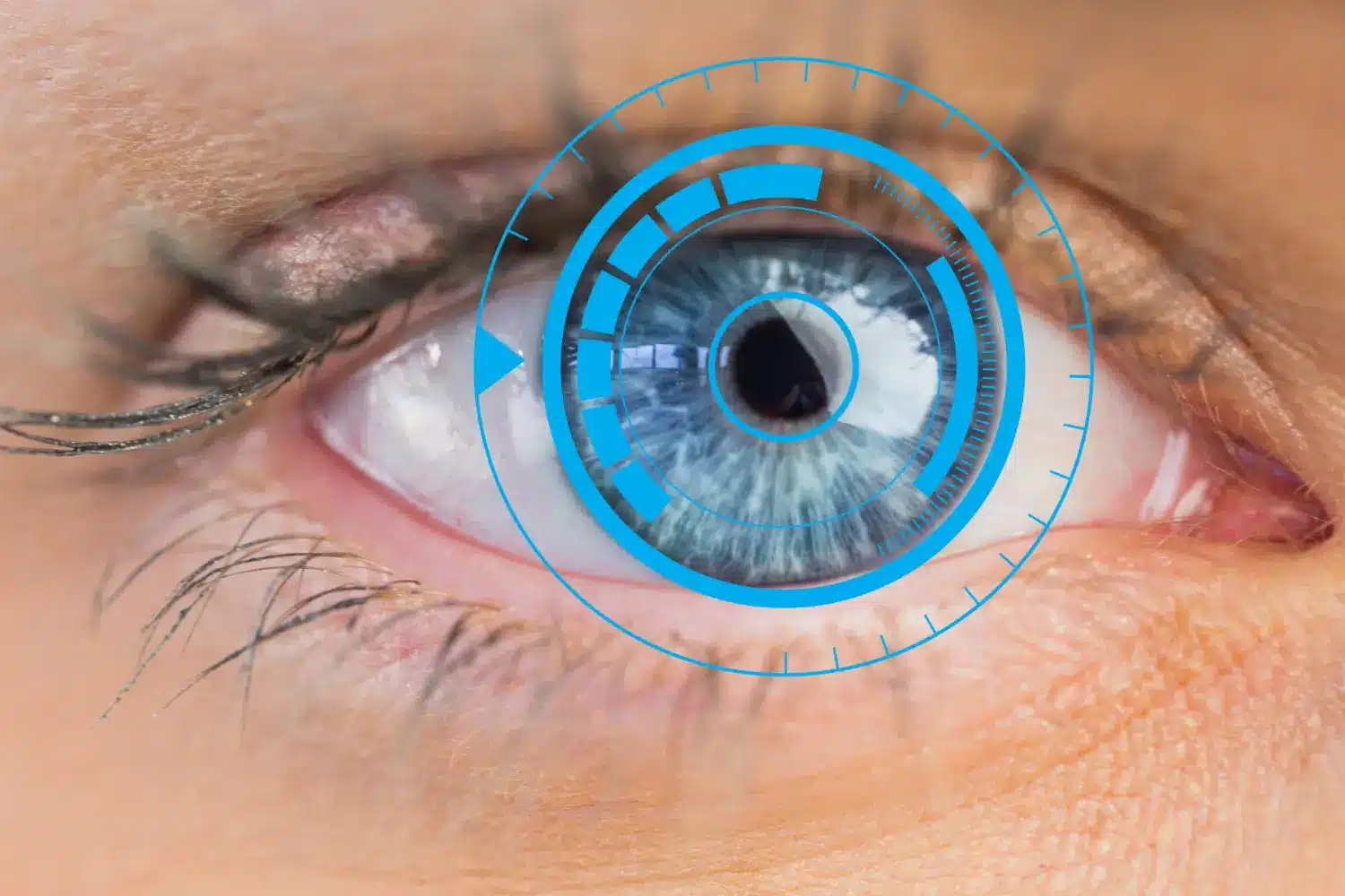 inside the eye
