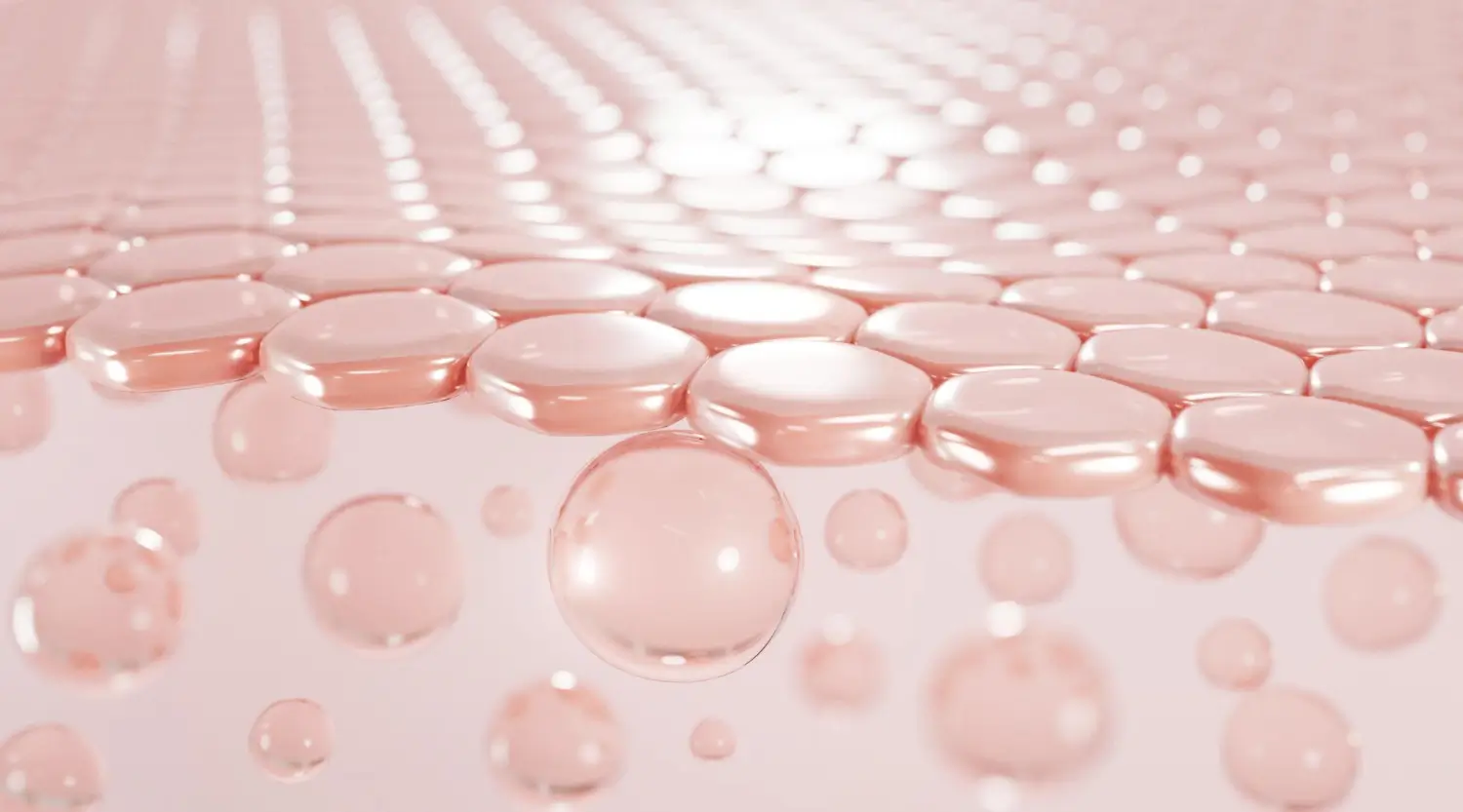 skin cells