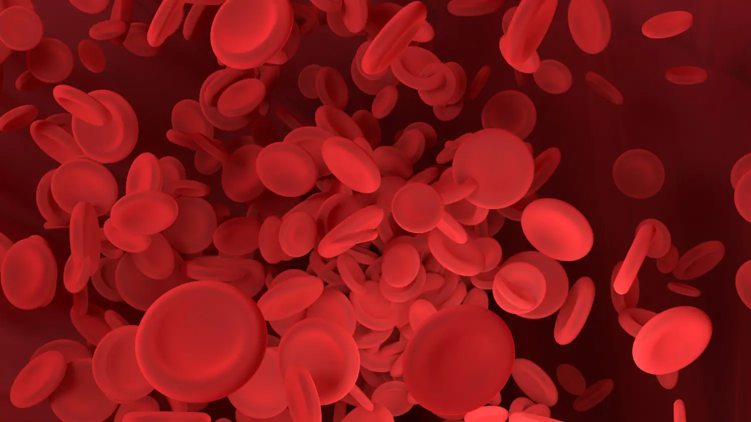 rbc in the bloodstream